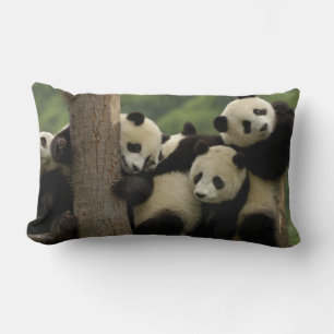 Reuzenpanda baby's Ailuropoda melanoleuca) Kussen