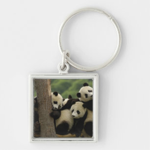 Reuzenpanda baby's Ailuropoda melanoleuca) Sleutelhanger