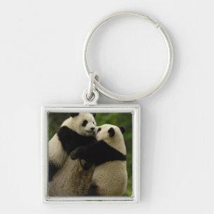 Reuzenpanda baby's (Ailuropoda melanoleuca) Sleutelhanger