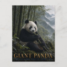 Reuzenpanda Bamboebos DIEREN