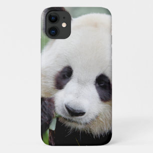 Reuzenpanda, grote panda, dieren. iPhone 11 hoesje