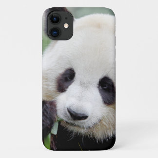 Reuzenpanda, grote panda, dieren. iPhone 11 hoesje