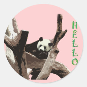 Reuzenpanda in een wild dierentuin fotografie. ronde sticker