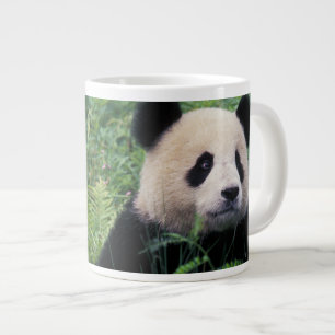Reuzenpanda in het gras, Wolong-vallei, Sichuan Extra Grote Mok
