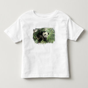 Reuzenpanda jong klimt in een boom, Wolong-vallei, Kinder Shirts