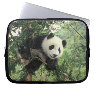 Reuzenpanda-jong klimt in een boom, Wolong-vallei, Laptop Sleeve