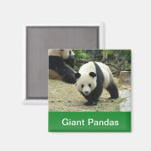 Reuzenpanda Magneet (Voorkant / Achterkant)