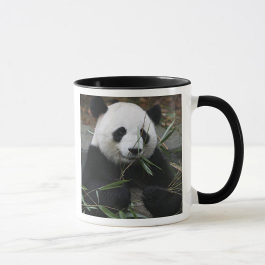 Reuzenpanda Mok (Rechts)