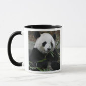 Reuzenpanda Mok (Links)