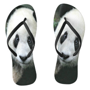 Reuzenpanda slenterend door groen gras teenslippers