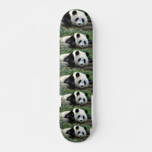 REUZENPANDABERS SKATEBOARD