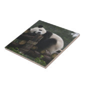 Reuzenpanda's bij de Giant Panda Protection Tegeltje (Zijkant)