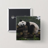 Reuzenpanda's bij de Giant Panda Protection Vierkante Button 5,1 Cm (Voorkant /achterkant)