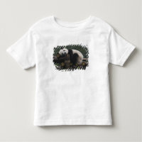 Reuzenpanda's bij de Reuzenpanda Bescherming