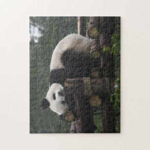 Reuzenpanda's bij de Reuzenpanda Bescherming Legpuzzel