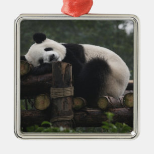 Reuzenpanda's bij de Reuzenpanda Bescherming Metalen Ornament