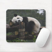 Reuzenpanda's bij de Reuzenpanda Bescherming Muismat (Met muis)