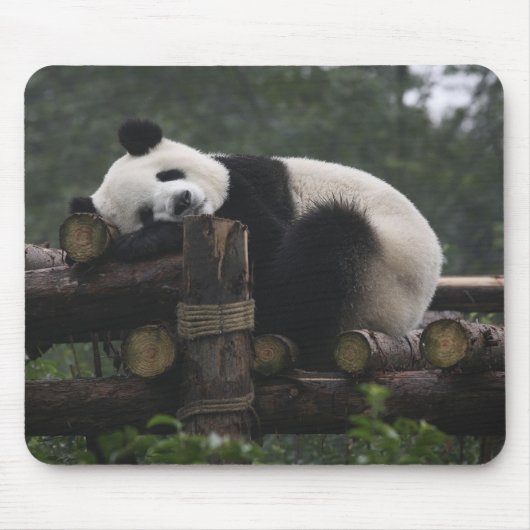 Reuzenpanda's bij de Reuzenpanda Bescherming Muismat (Voorkant)