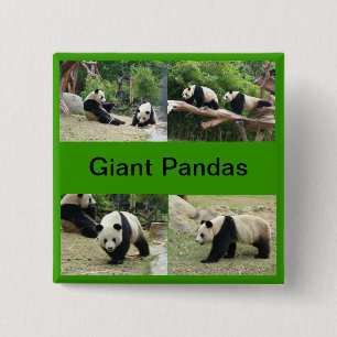 Reuzenpanda's Vierkante Button 5,1 Cm