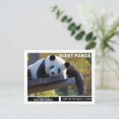 Reuzenpanda's zijn kwetsbare soorten feestdagenkaart (Staand voorkant)