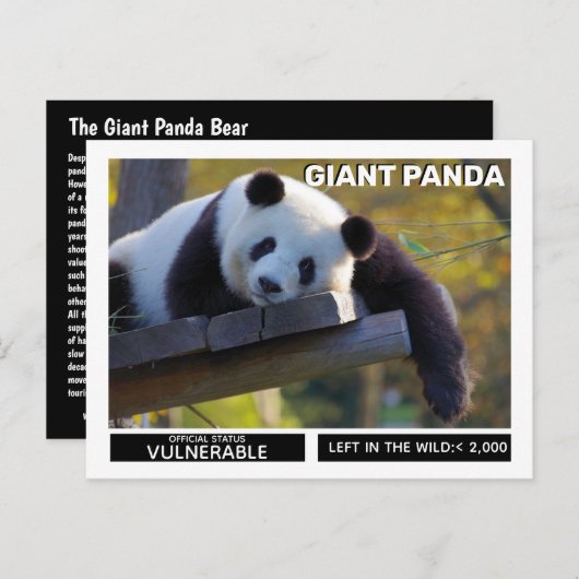 Reuzenpanda's zijn kwetsbare soorten feestdagenkaart (Voorkant / Achterkant)