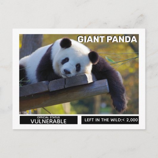 Reuzenpanda's zijn kwetsbare soorten feestdagenkaart (Voorkant)