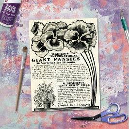  reuzenpanelen, zaadcatalogi en zadenvaartuigen tissuepapier