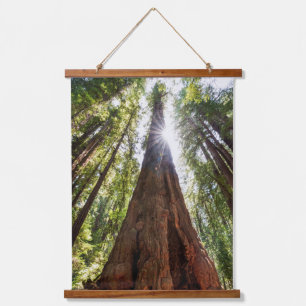 Reuzenredwoods Hangend Wandkleed