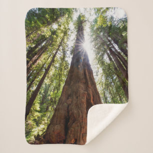 Reuzenredwoods Sherpa Deken
