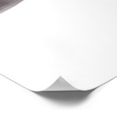 Reuzenriviermeerval Poster (Hoek)