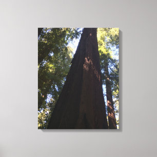 Reuzenrode bossen canvas afdruk