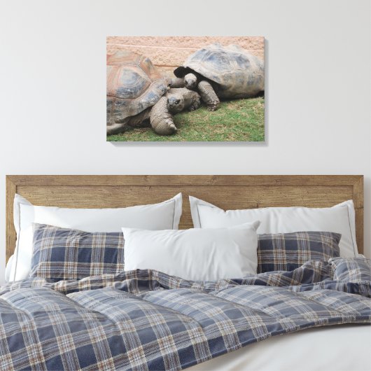 reuzenschildpad canvas afdruk (Insitu (Slaapkamer))