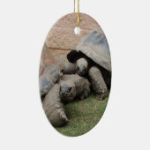 reuzenschildpad keramisch ornament (Rechts)