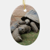 reuzenschildpad keramisch ornament (Achterkant)