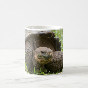 Reuzenschildpad Koffiemok