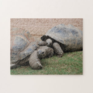 reuzenschildpad legpuzzel