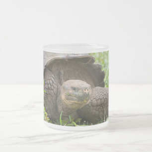Reuzenschildpad Matglas Koffiemok