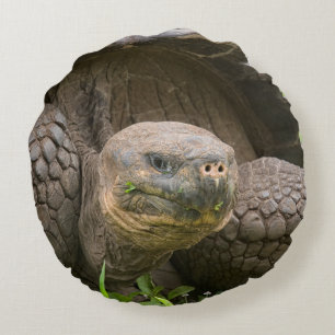 Reuzenschildpad Rond Kussen