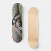 reuzenschildpad skateboard (Voorkant)