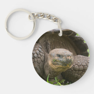 Reuzenschildpad Sleutelhanger