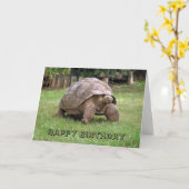 reuzenschildpad-Wenskaart Kaart (Gele Bloem)