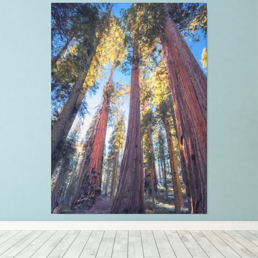 Reuzensequoia bomen bos landschap canvas afdruk (Insitu (Houten vloer))