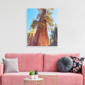 reuzensequoia canvas afdruk (Insitu (Woonkamer))