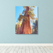 reuzensequoia canvas afdruk (Insitu (Houten vloer))