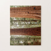 Reuzensequoia panorama legpuzzel (Verticaal)