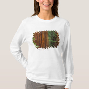 Reuzensequoia-stammen in bos, Yosemite T-shirt
