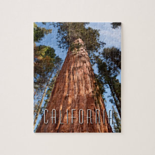 Reuzensequoia stijgt op legpuzzel