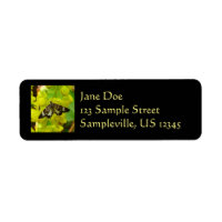 Reuzensequoia Vlinder en Oregon Druif Wilde Bloeme