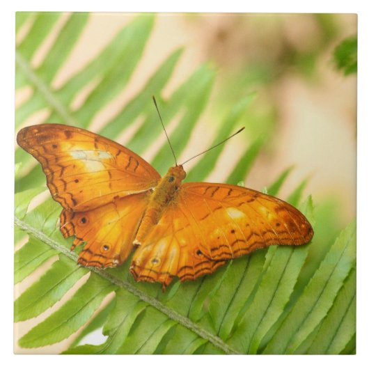 Reuzenvlinder Tegeltje (Voorkant)