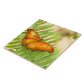 Reuzenvlinder Tegeltje (Zijkant)